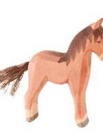 Ostheimer Colt brown