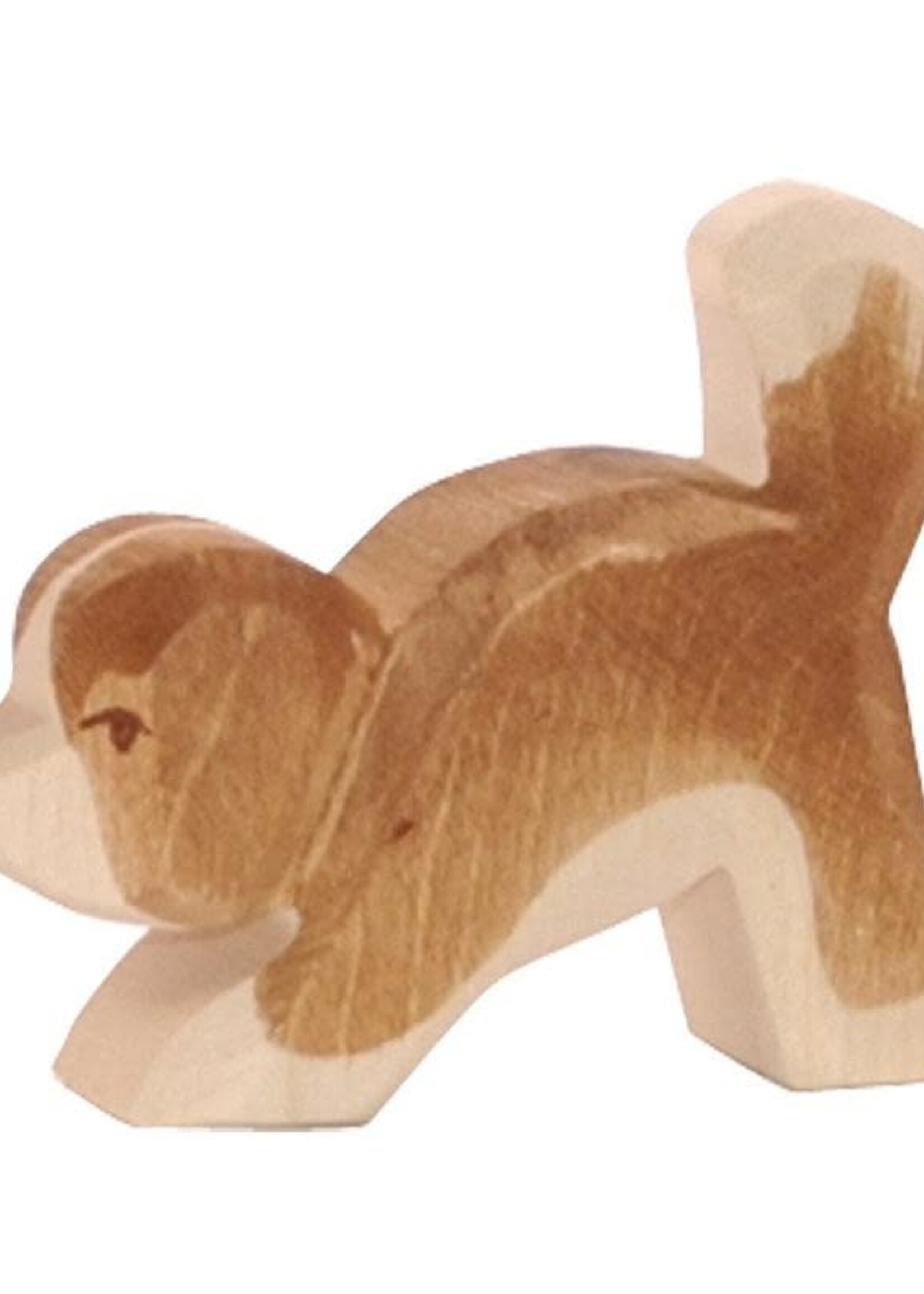 Ostheimer St. Bernard Dog small head down
