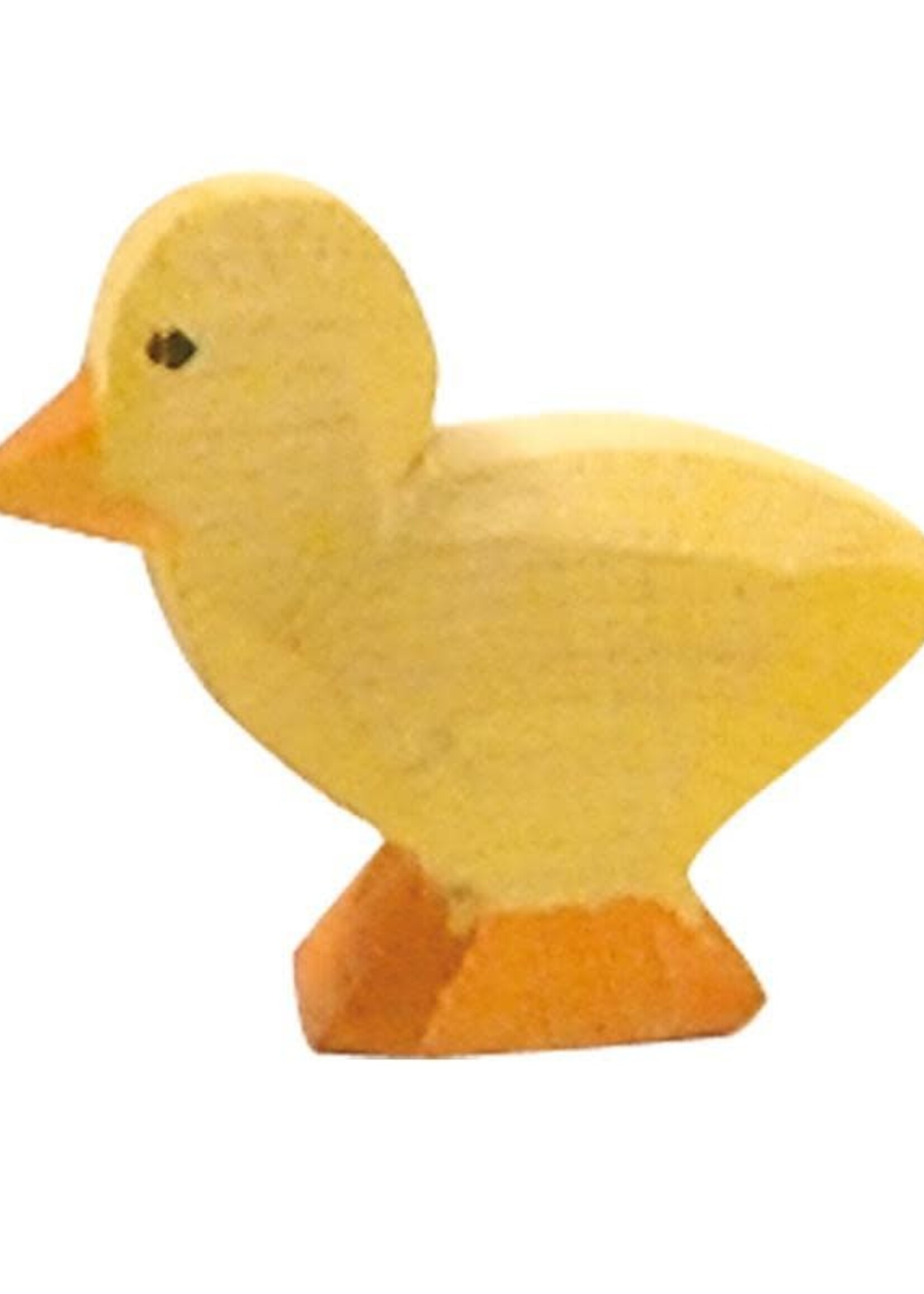 Ostheimer Chick light