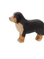 Ostheimer Bernese Mountain Dog
