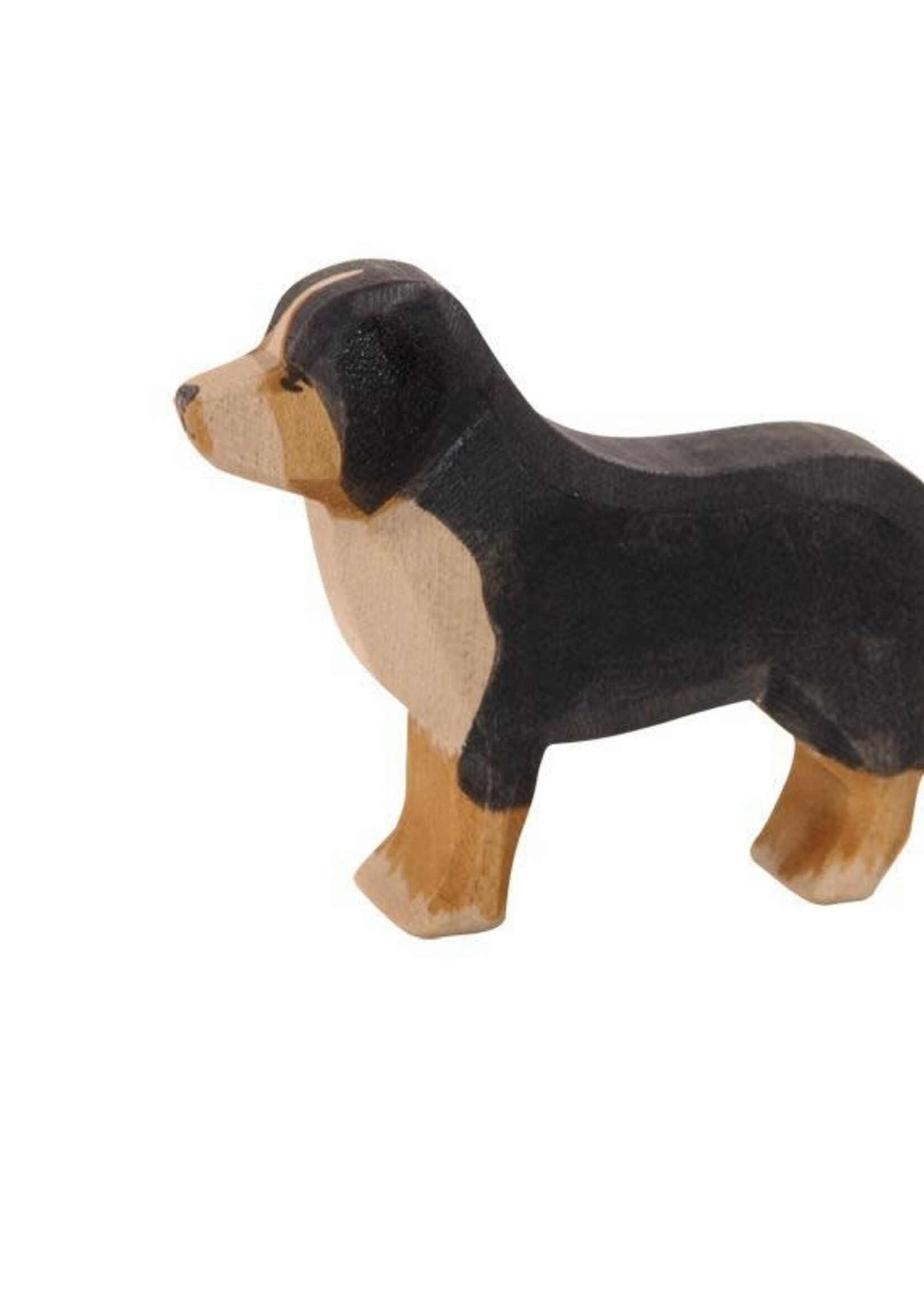 Ostheimer Bernese Mountain Dog