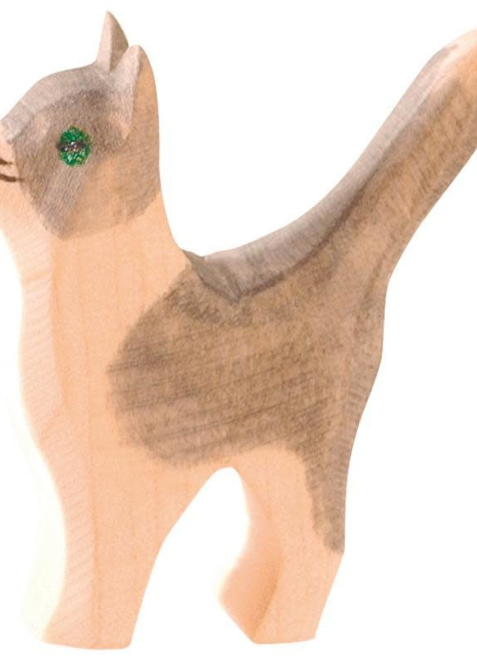Ostheimer Cat small head up