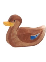 Ostheimer Duck swimming