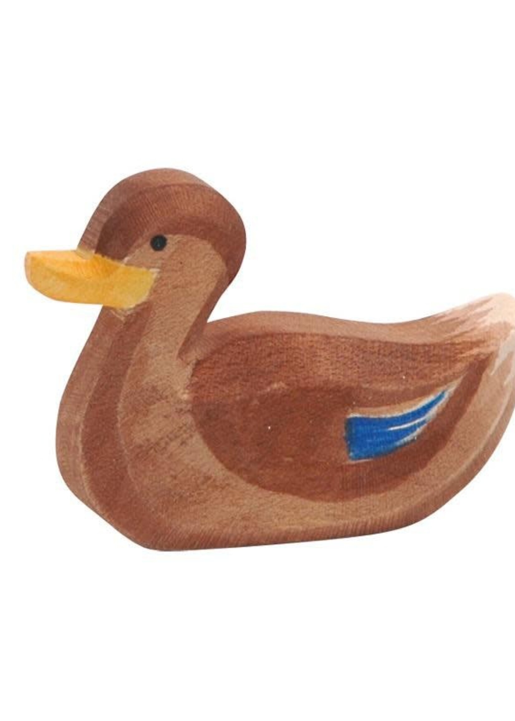 Ostheimer Duck swimming