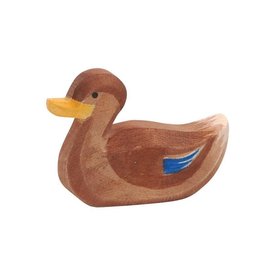 Ostheimer Duck swimming