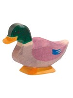 Ostheimer Duck male