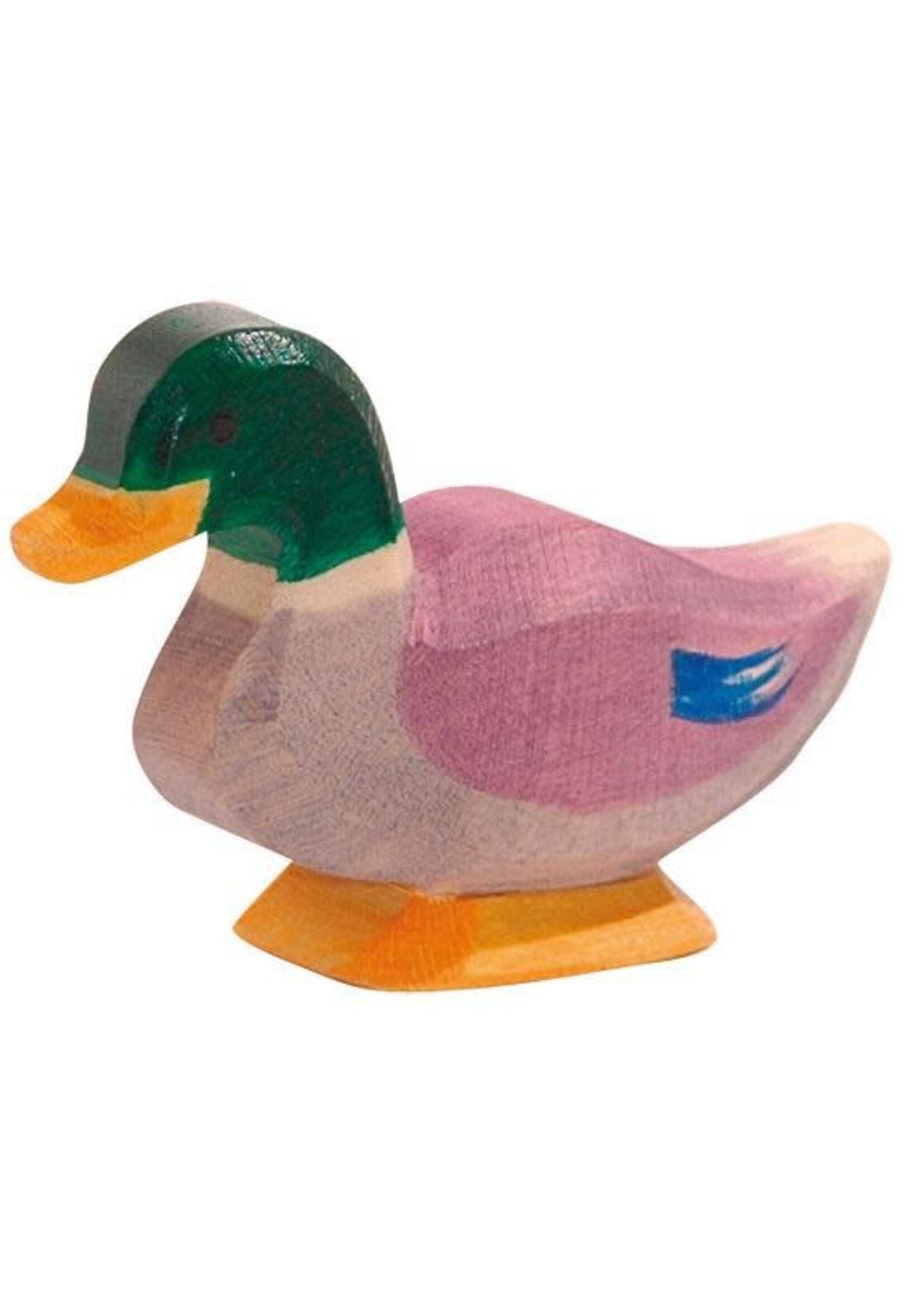 Ostheimer Duck male