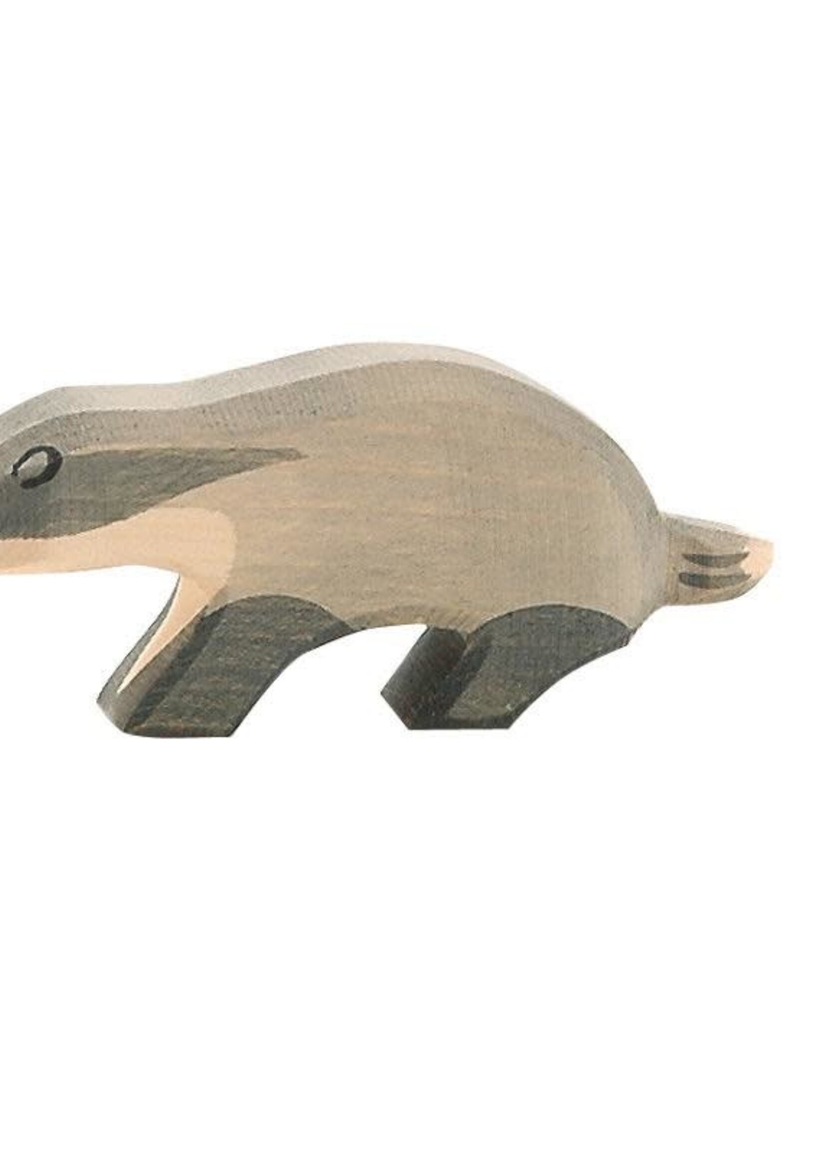 Ostheimer Badger head straight