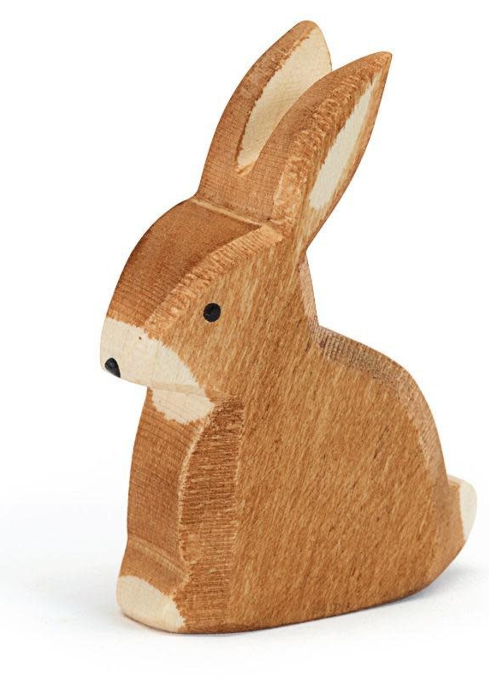 Ostheimer Rabbit sitting