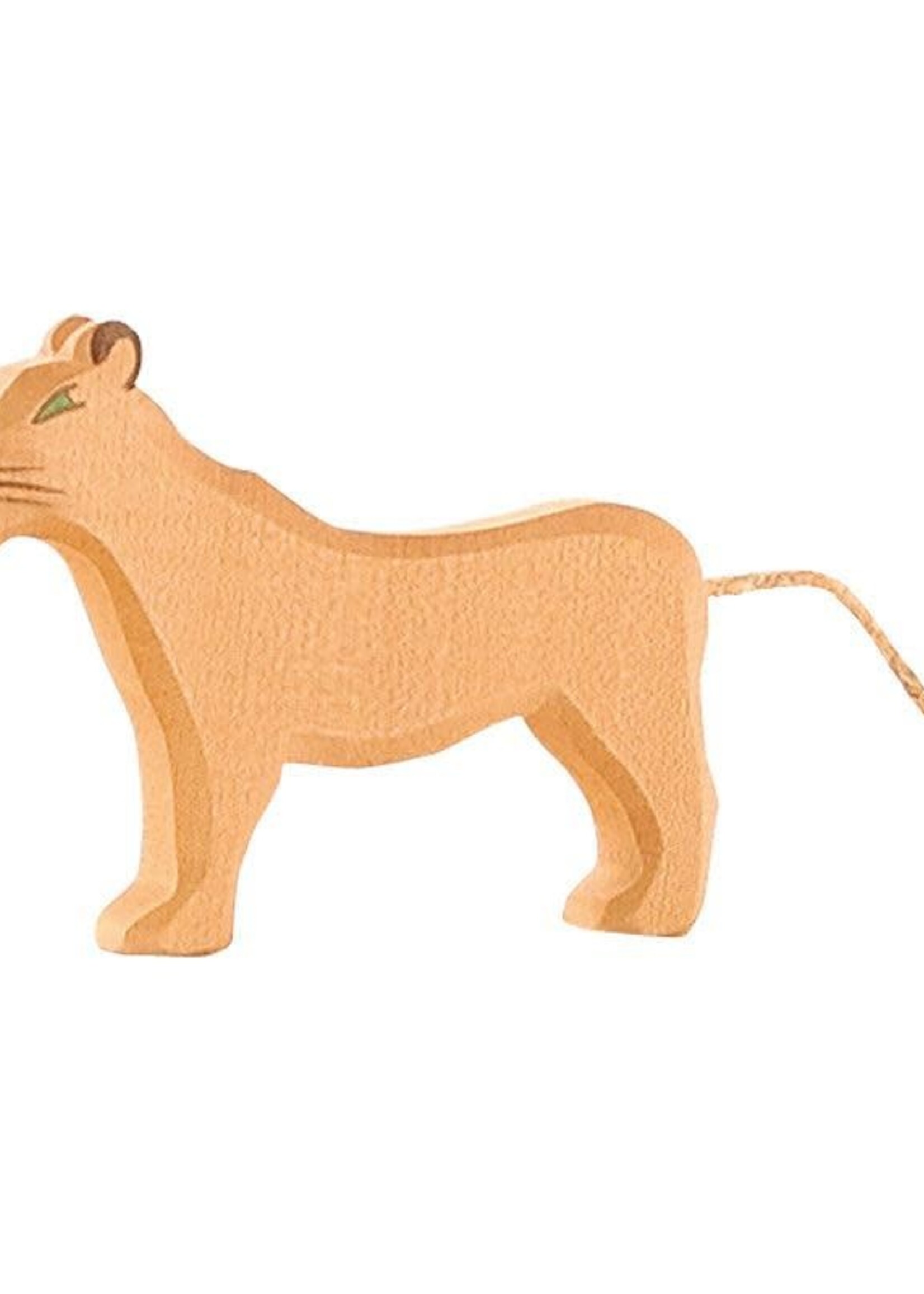 Ostheimer Lion female
