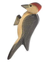 Ostheimer Woodpecker
