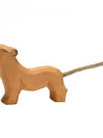 Ostheimer Lion small head high