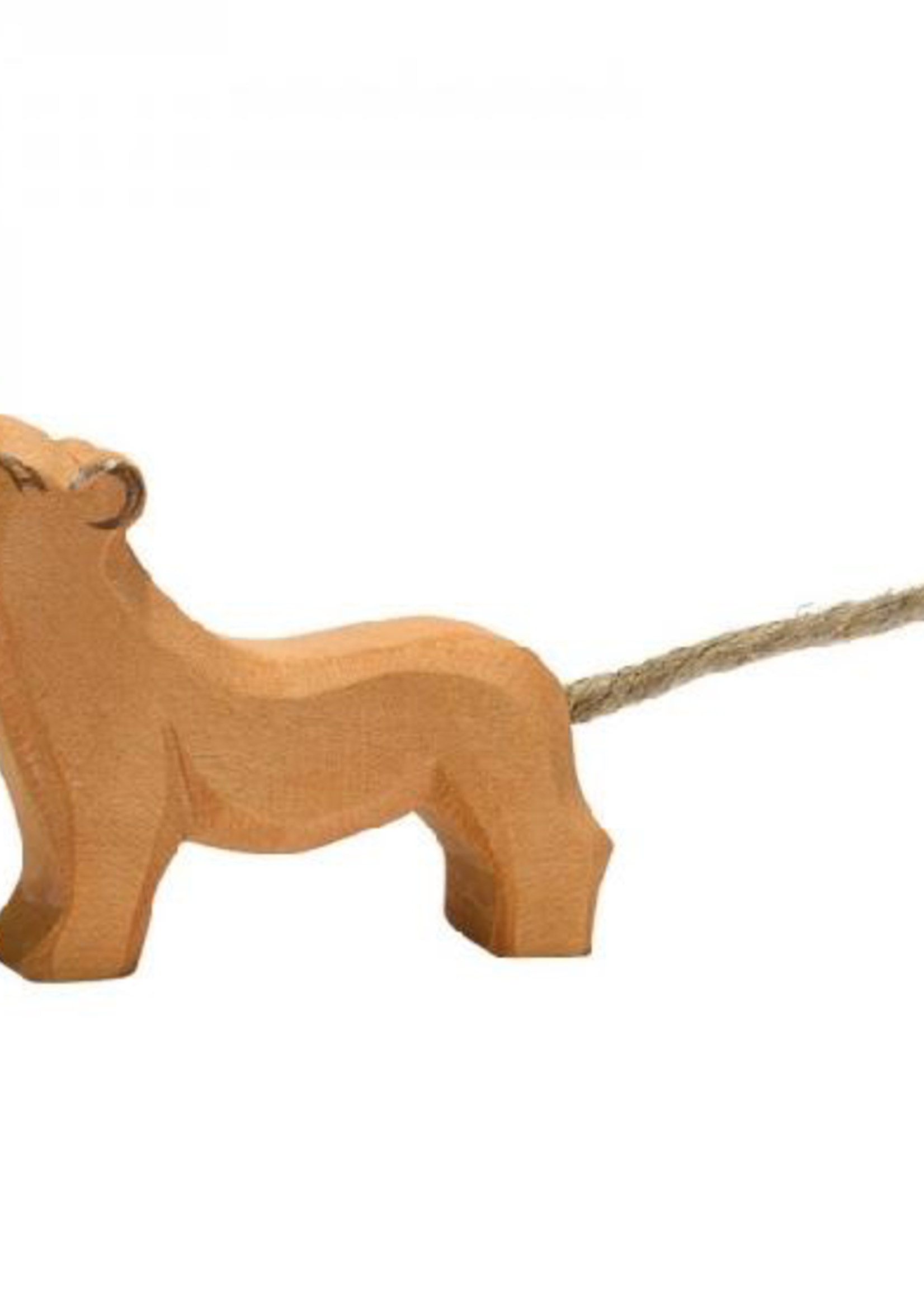 Ostheimer Lion small head high