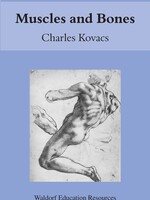 Floris Books Muscles And Bones: Waldorf Education Resources