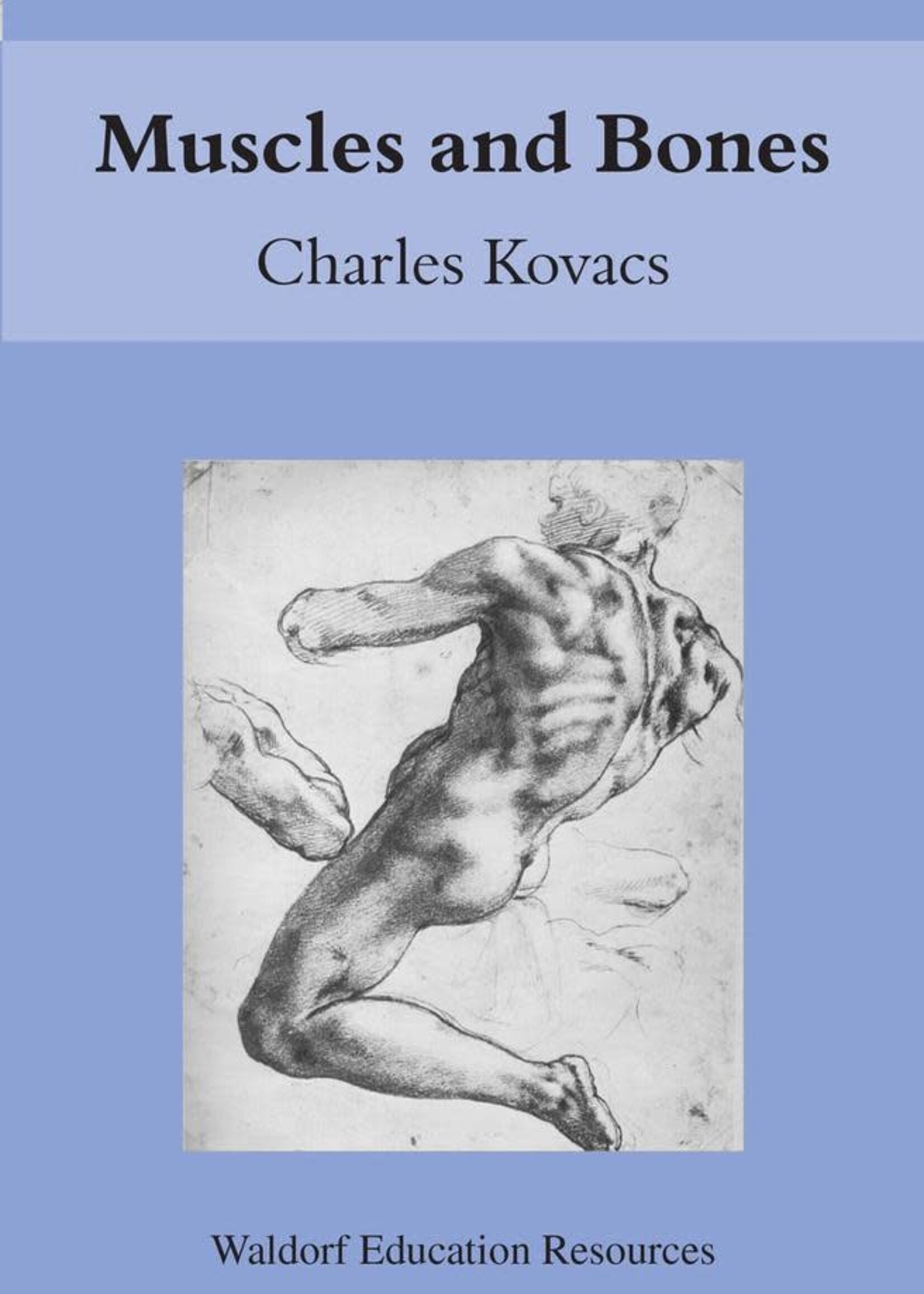 Floris Books Muscles And Bones: Waldorf Education Resources
