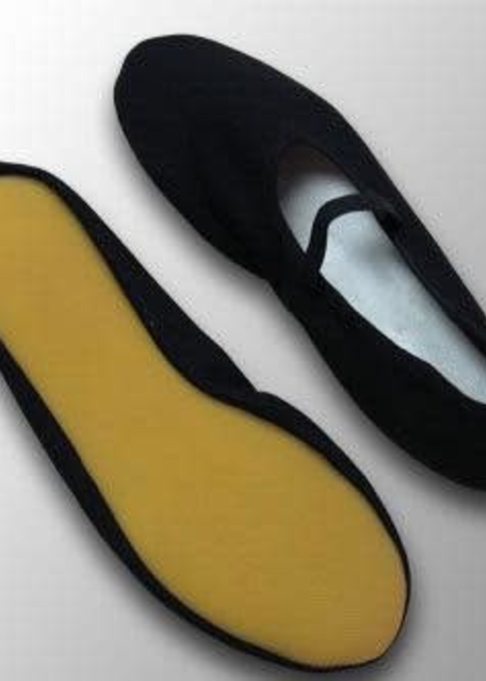 Mercurius Eurythmy Shoes