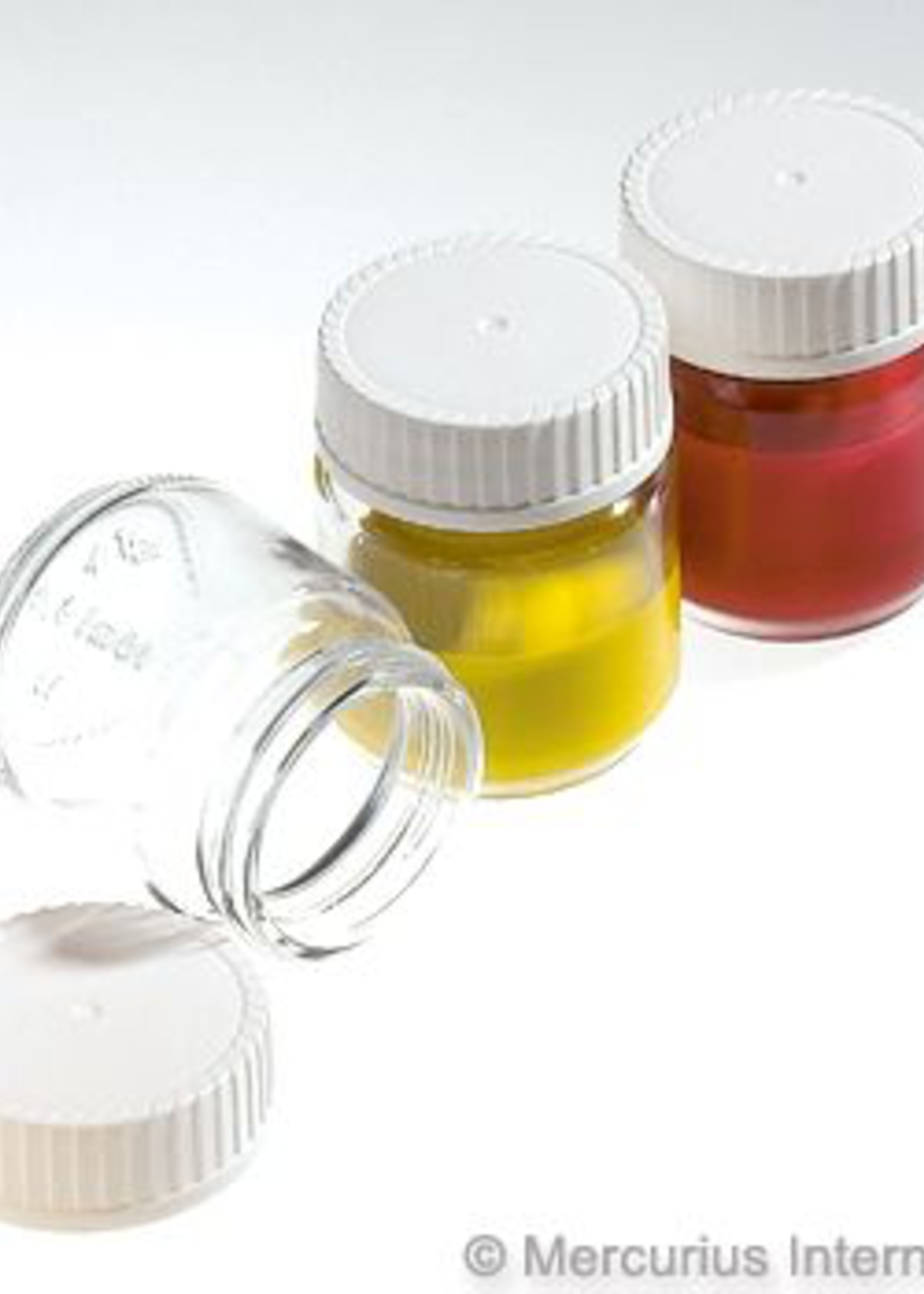 Mercurius Paint Jar with Lid 50ml