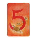 Grimm's Number Cards, 48 Pcs.