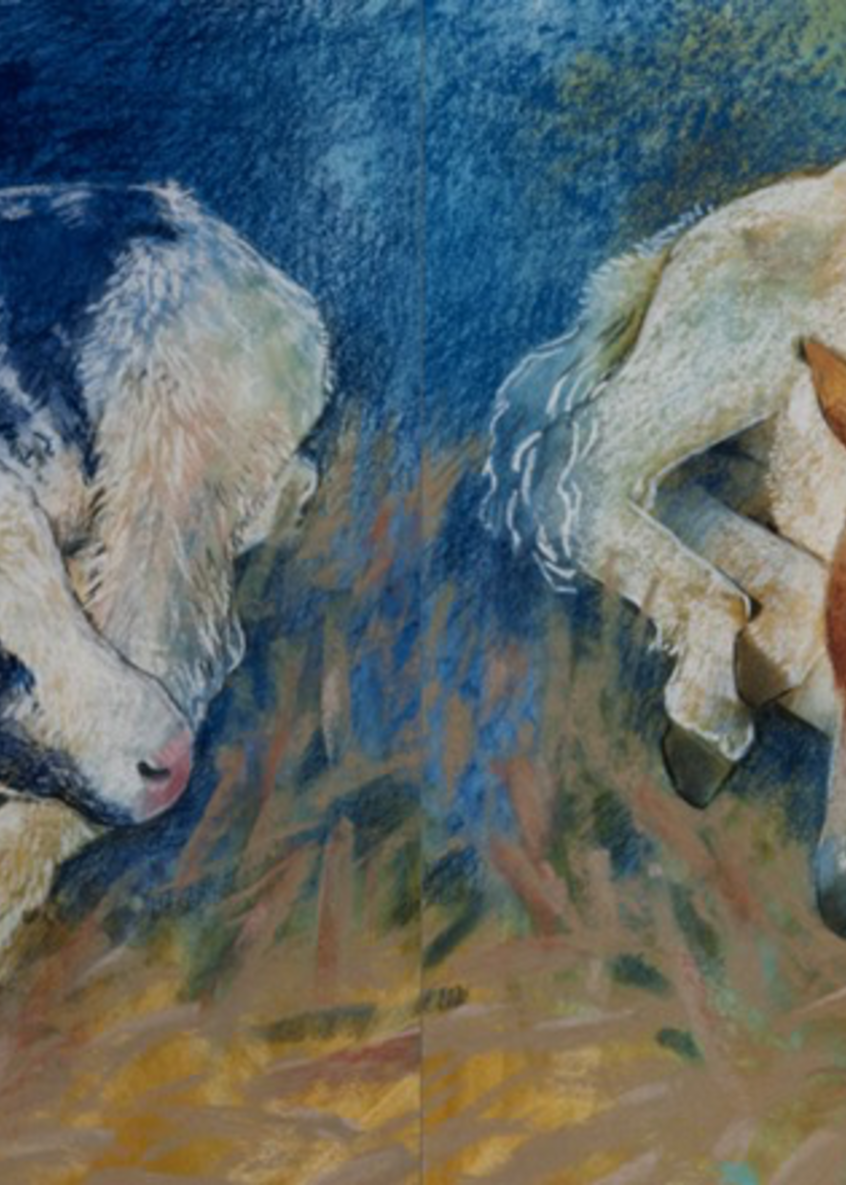 Floris Books Hello Animals How Do You Sleep