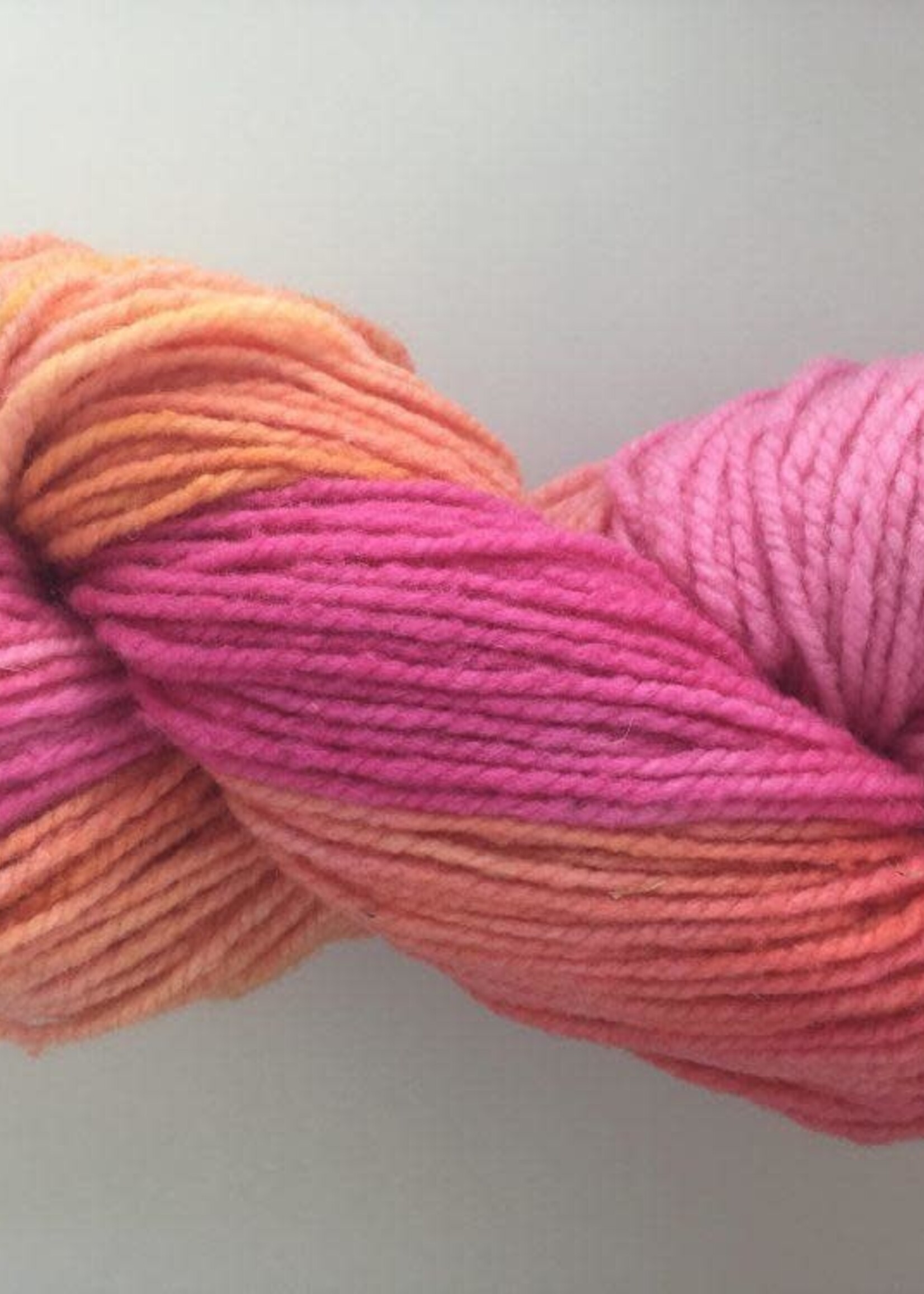 Briggs & Little Briggs & Little Hand Painted Softspun 2 ply