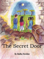 Jalmar Press Secret Door (book 2)
