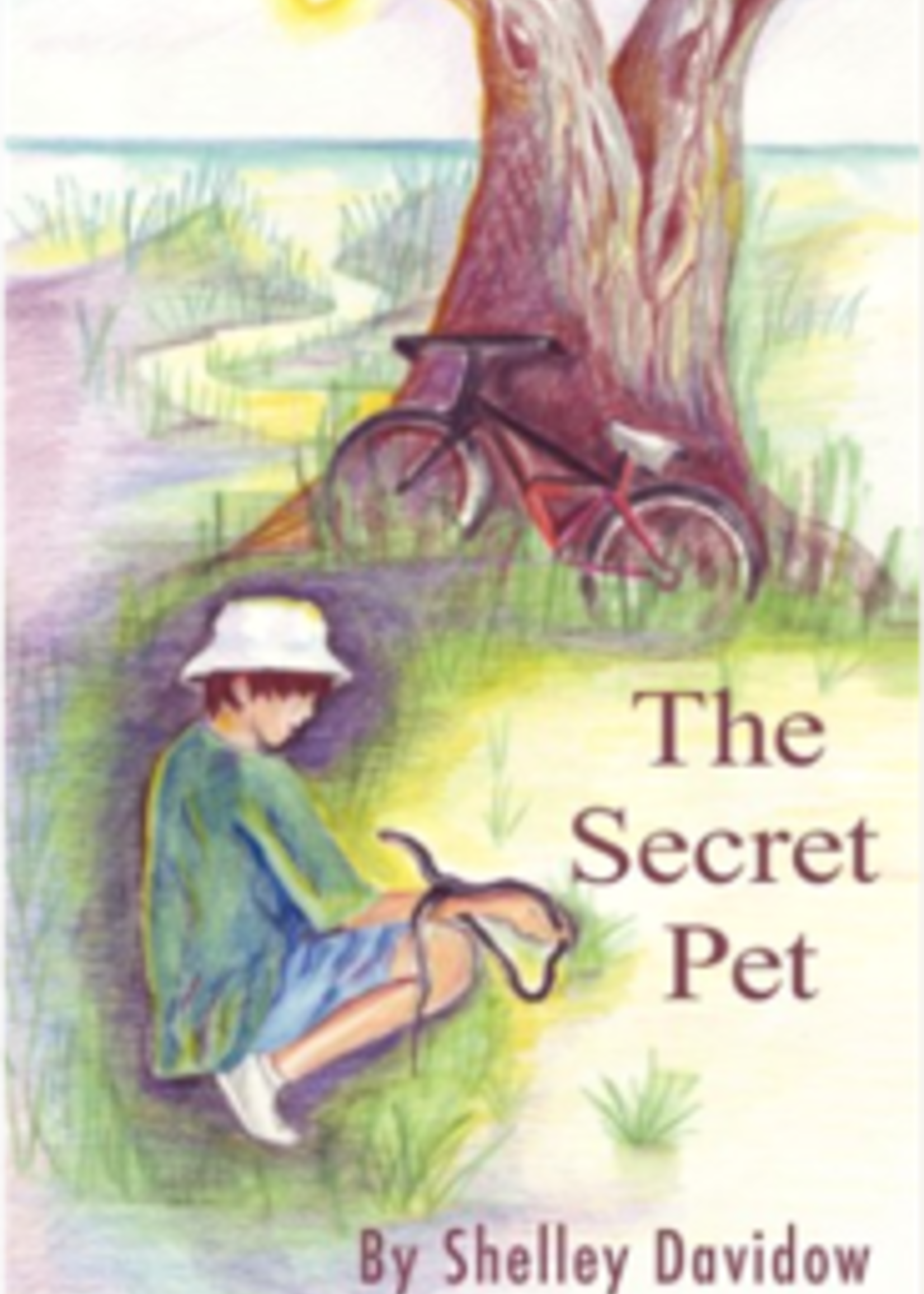 Jalmar Press The Secret Pet (book 1)