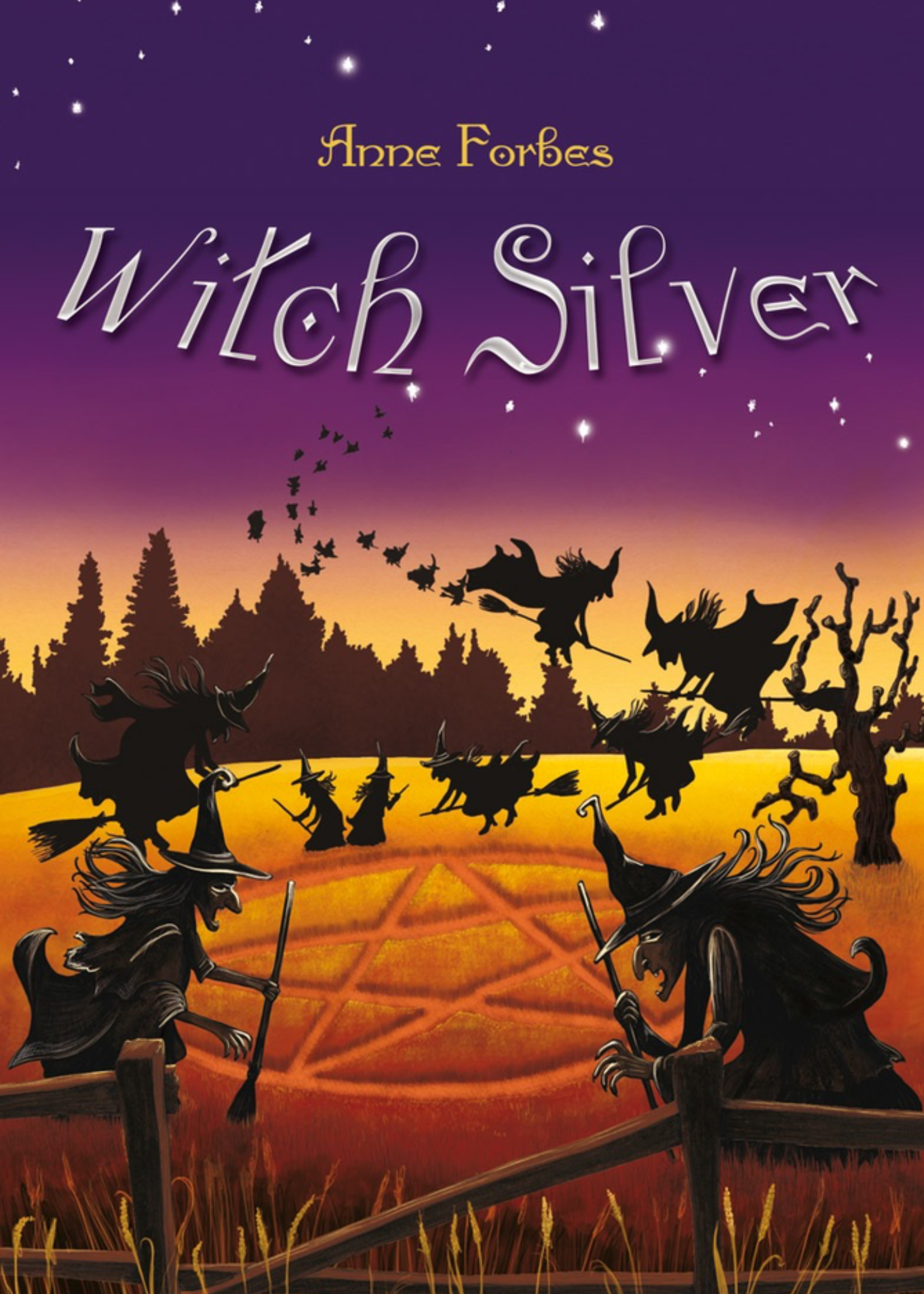 Floris Books Witch Silver (book 5)