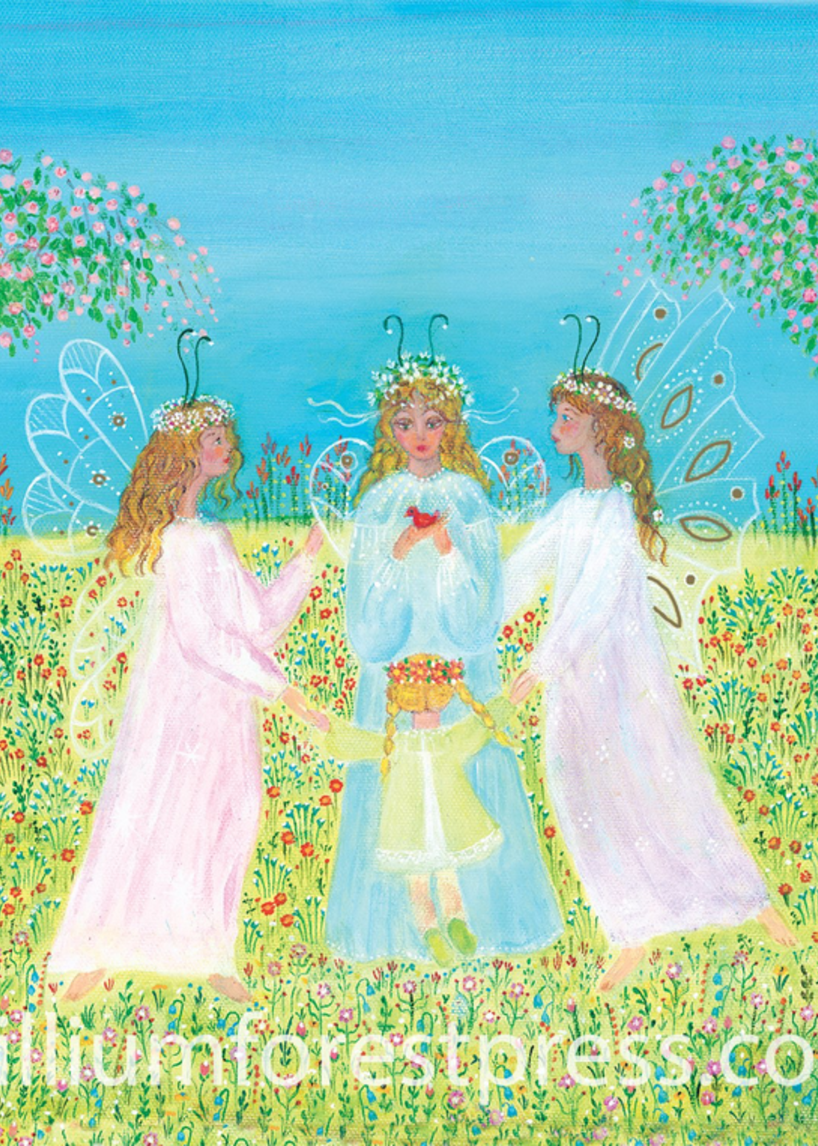 Trillium Forest Press Natalia’s Journey to the Land of the Fairies