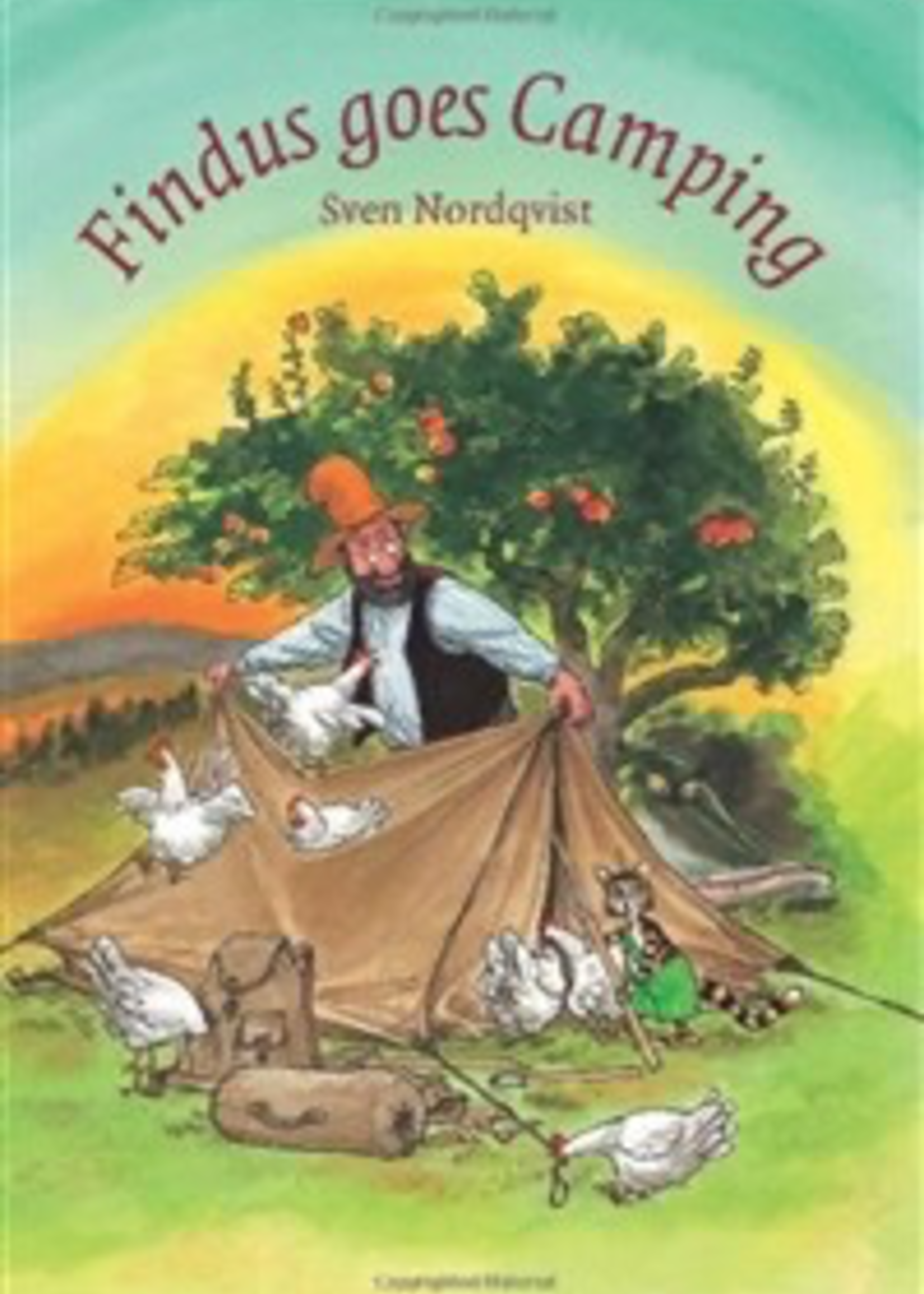 Hawthorne Press Findus Goes Camping