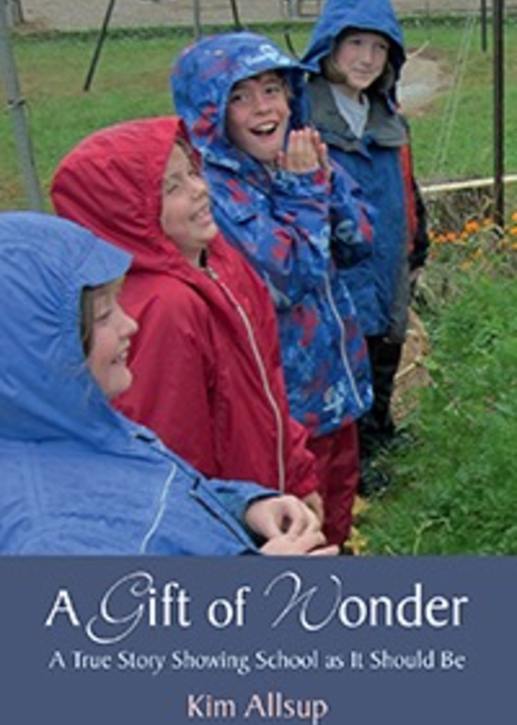 Lindisfarne Press A Gift of Wonder