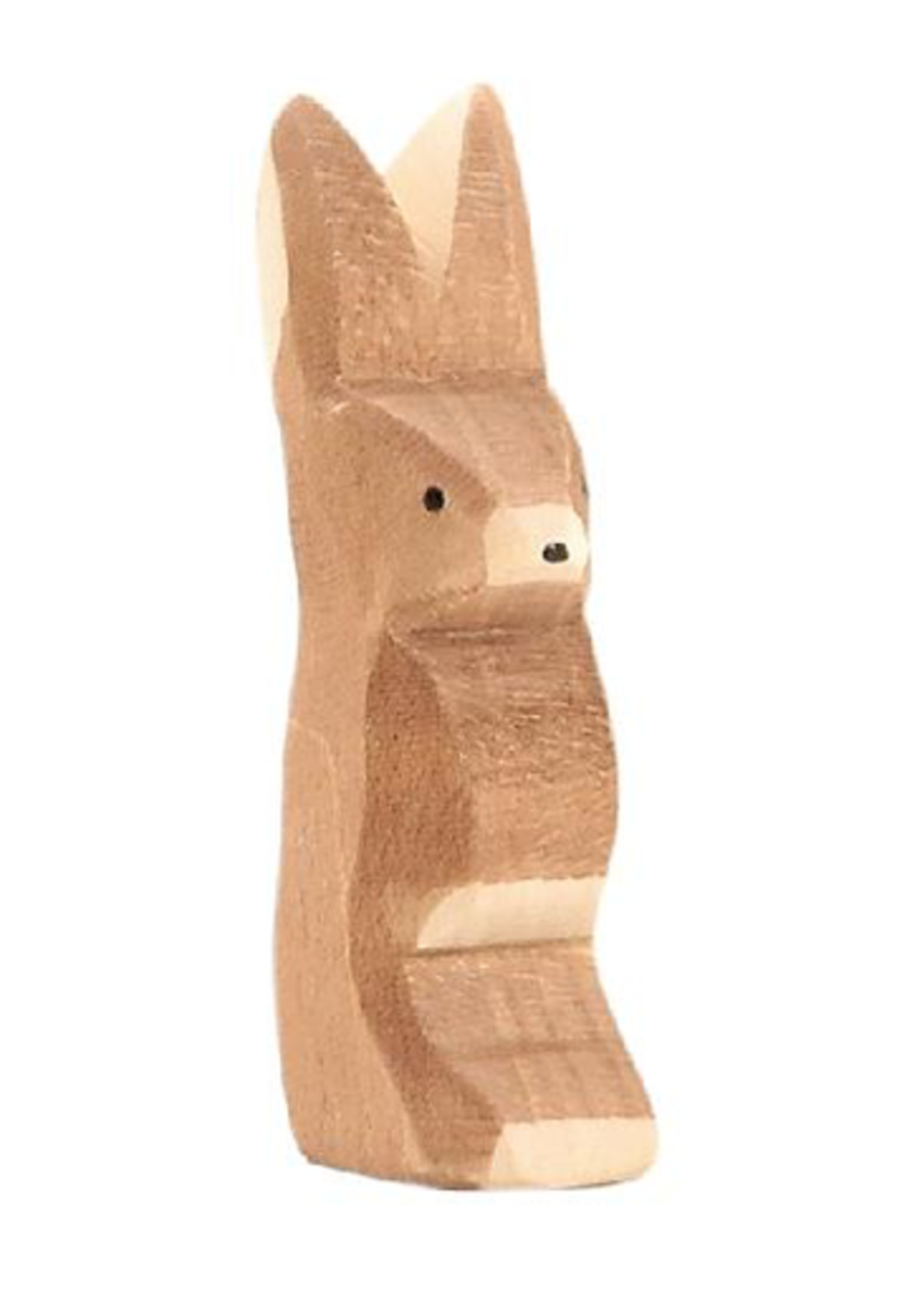 Ostheimer Rabbit ears up