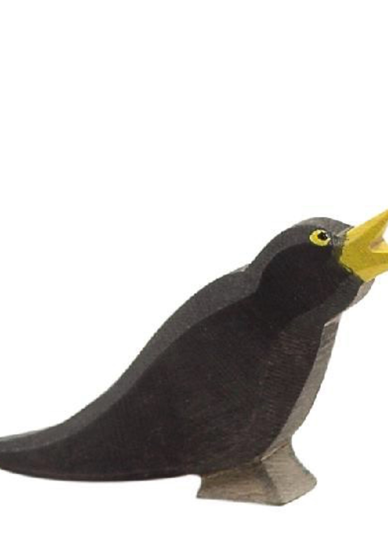 Ostheimer Blackbird