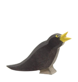 Ostheimer Bird - Blackbird