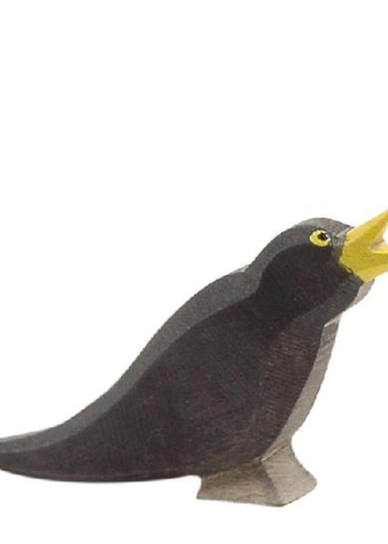 Ostheimer Blackbird