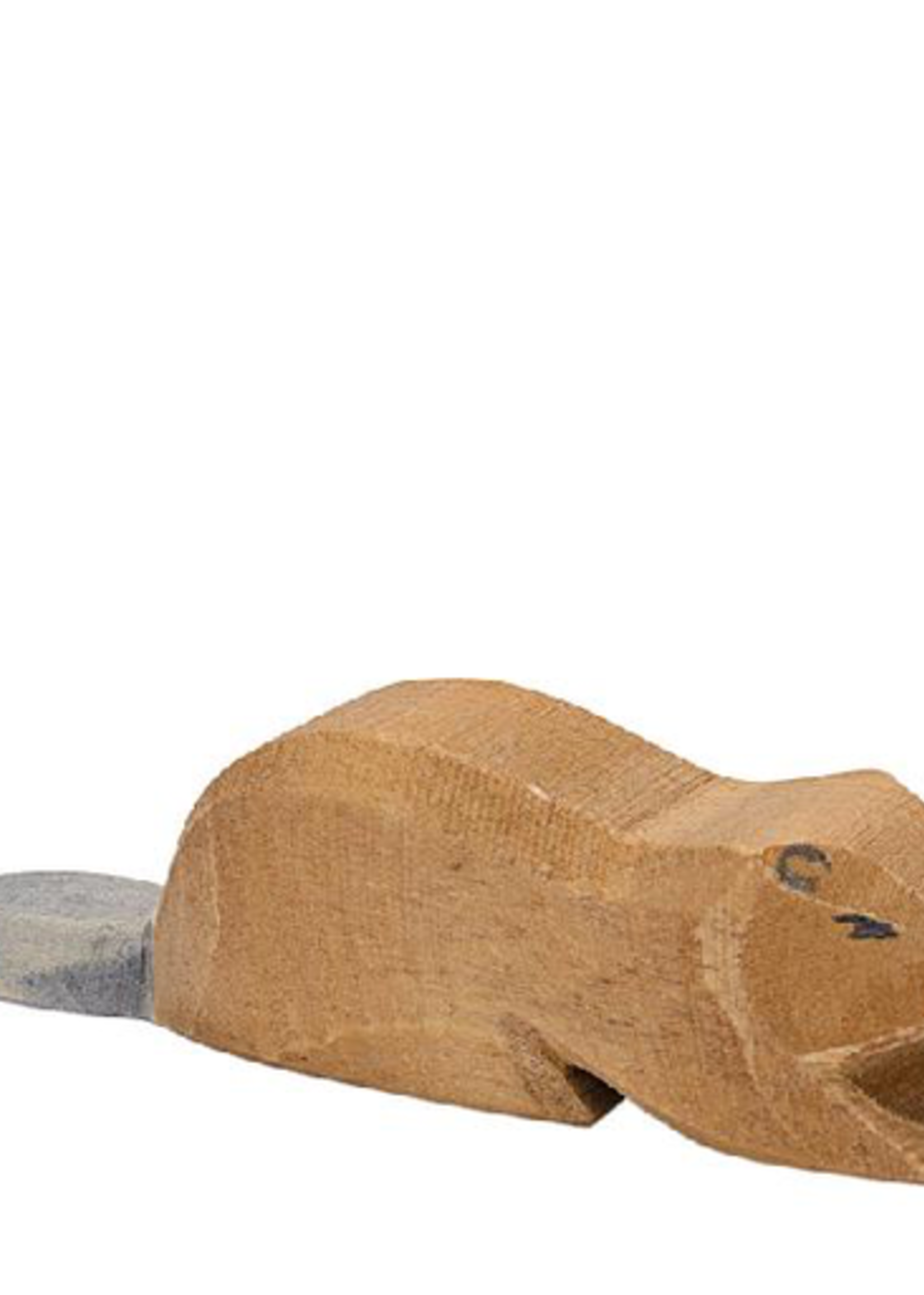 Ostheimer Beaver Lying
