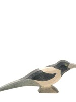 Ostheimer Magpie