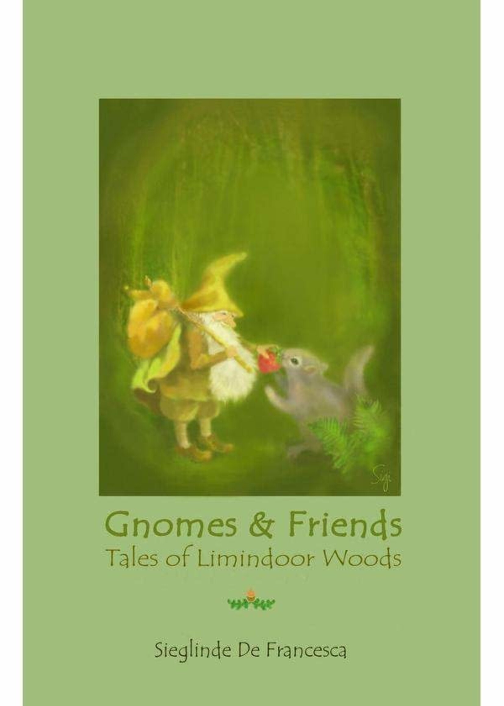 Teach Wonderment The Tales of Limindoor Woods - Gnomes & Friends book 2