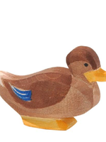 Ostheimer Duck sitting