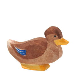 Ostheimer Duck sitting