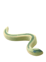 Ostheimer Snake