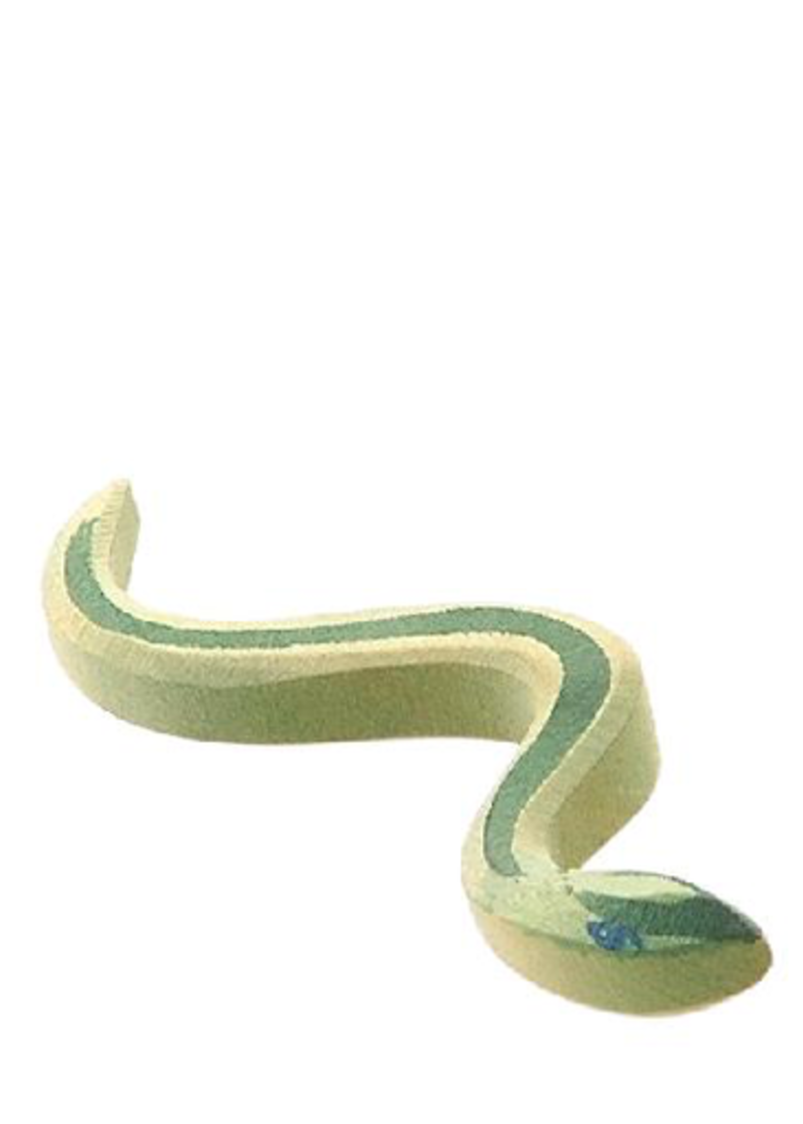 Ostheimer Snake