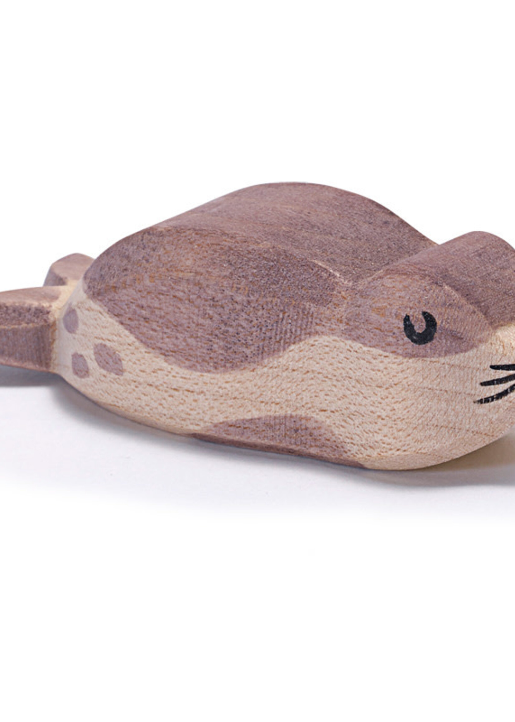 Ostheimer Sea Lion small