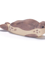 Ostheimer Sea Lion resting