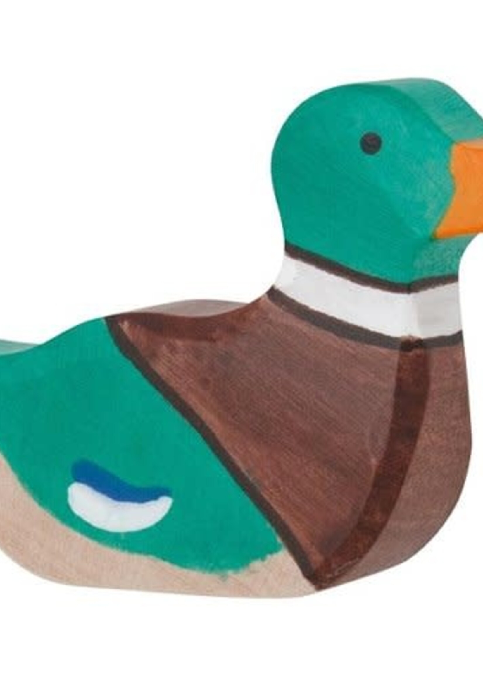 Holztiger Drake, swimming