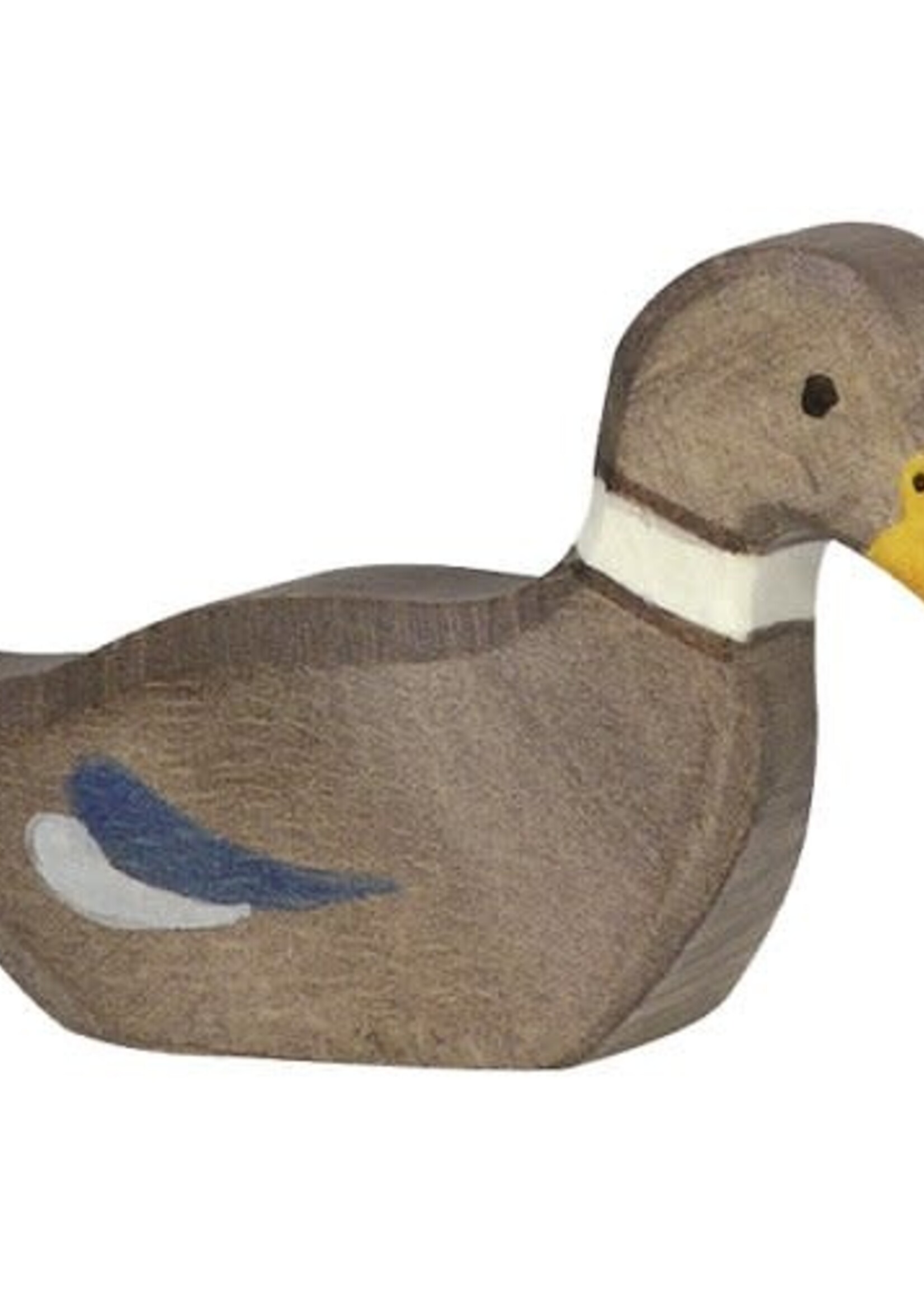 Holztiger Duck, swimming