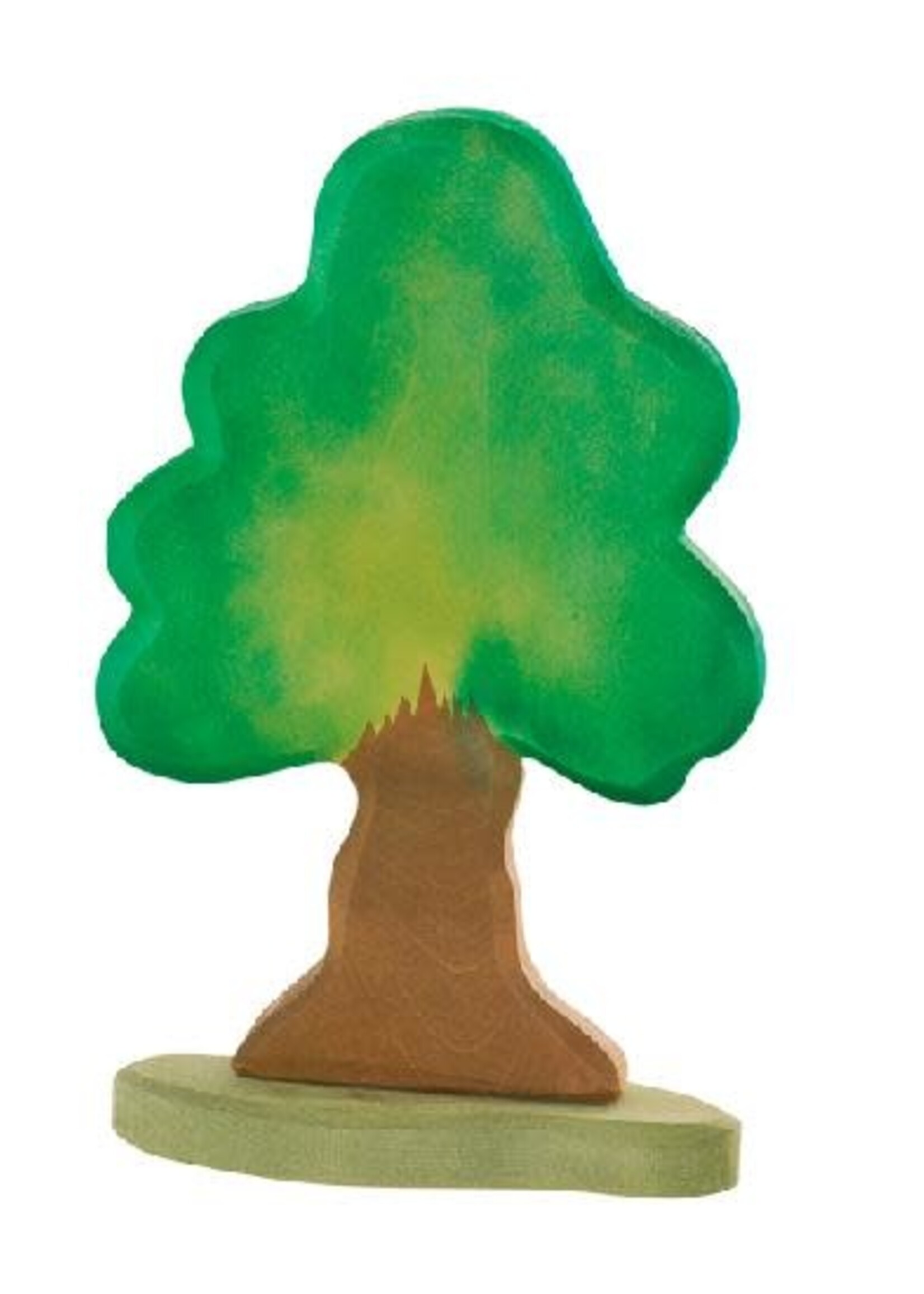 Ostheimer Oak Tree large