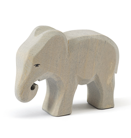 Ostheimer Elephant small eating