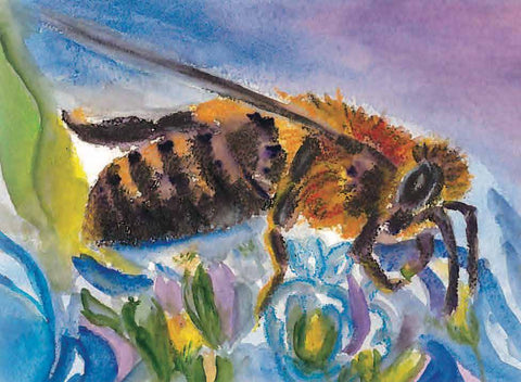 Honey Bee Haven - Leonore Russell