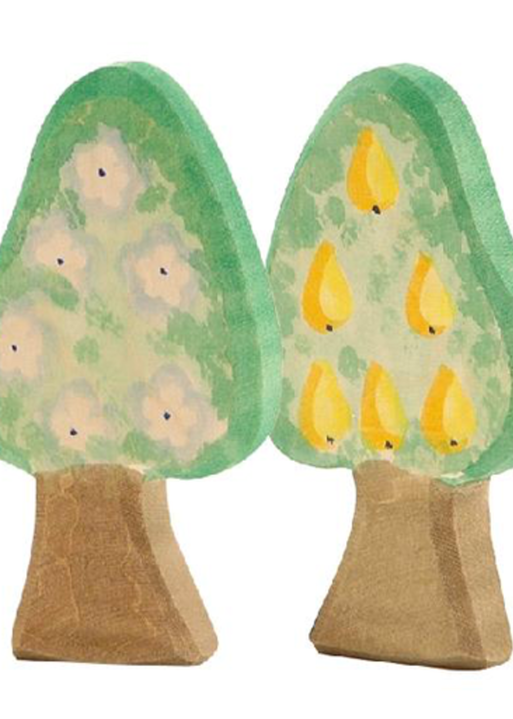 Ostheimer Pear Tree