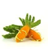 Papoose Food - Mini Carrot - Papoose